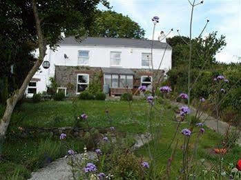Vine Cottage B&B Devizes Buitenkant foto